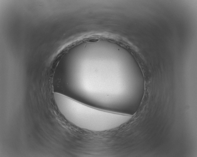 X0000082141496200701190944