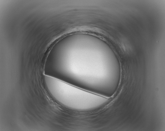 X0000082141497200701190944