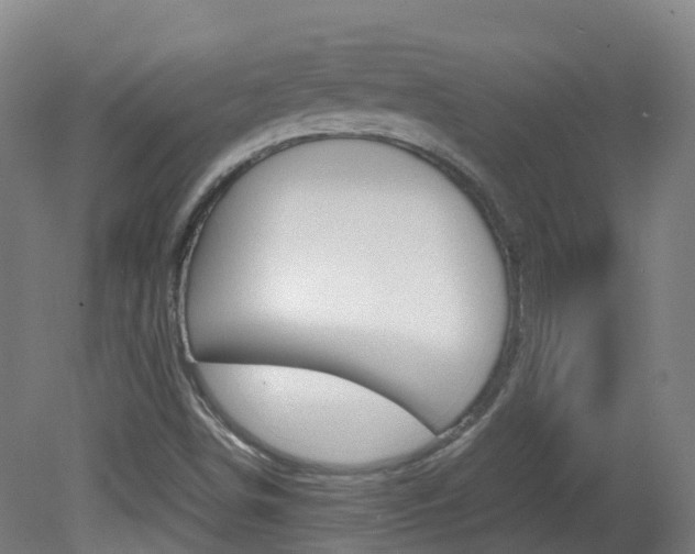 X0000082141498200701190944