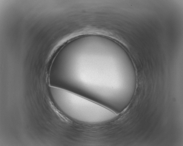 X0000082141507200701190944