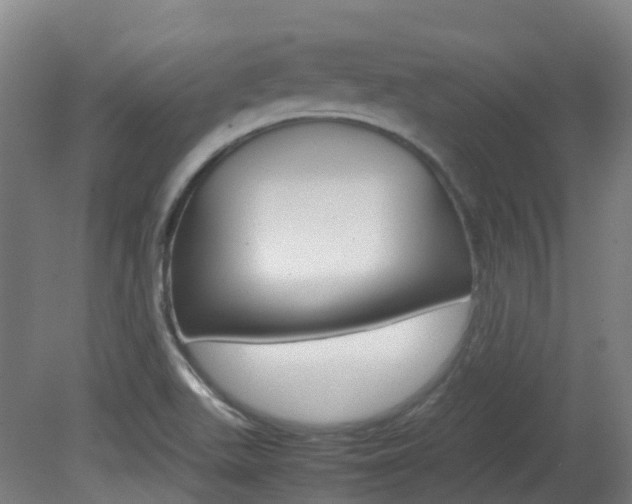 X0000082141511200701190944