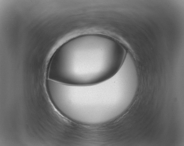 X0000082141512200701190944