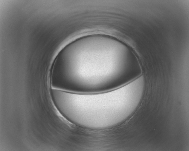 X0000082141516200701190944