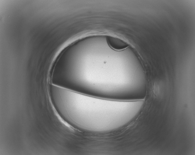 X0000082141519200701190944