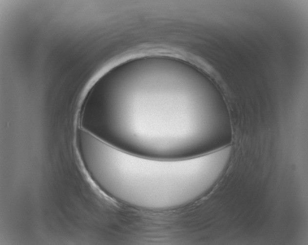 X0000082141520200701190944