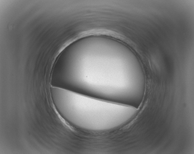 X0000082141521200701190944