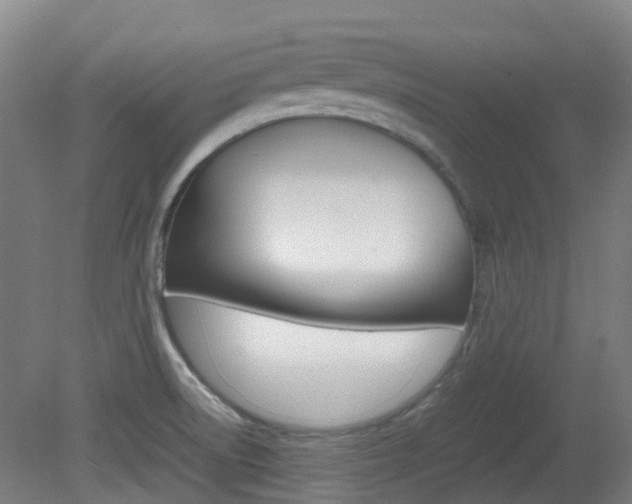 X0000082141522200701190944