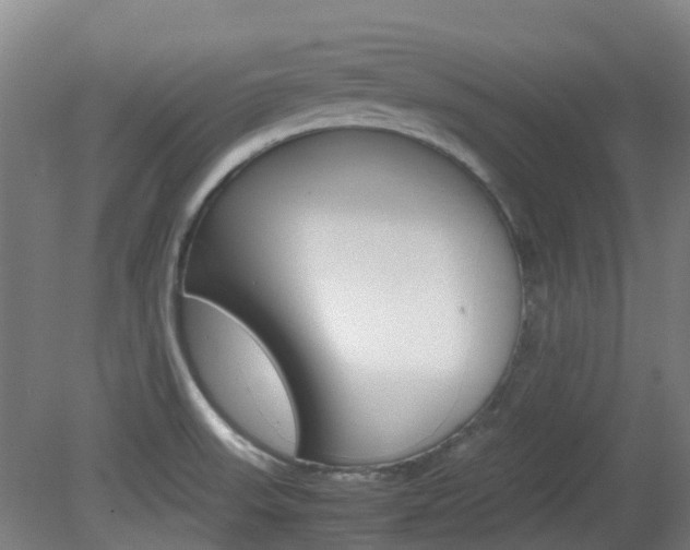 X0000082141523200701190944