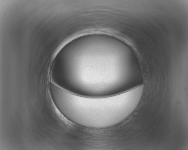 X0000082141524200701190944