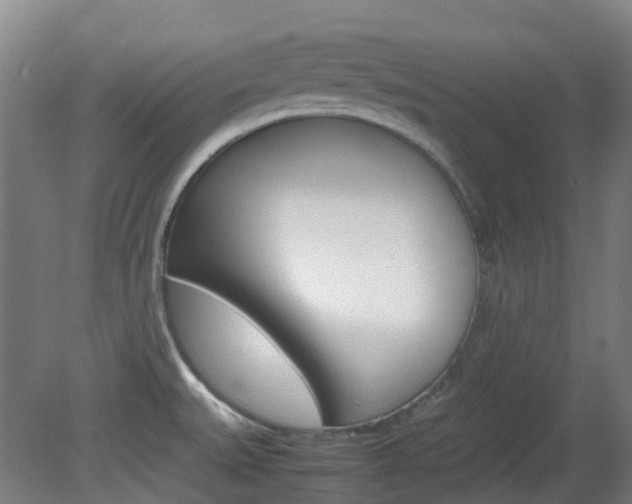 X0000082141527200701190945