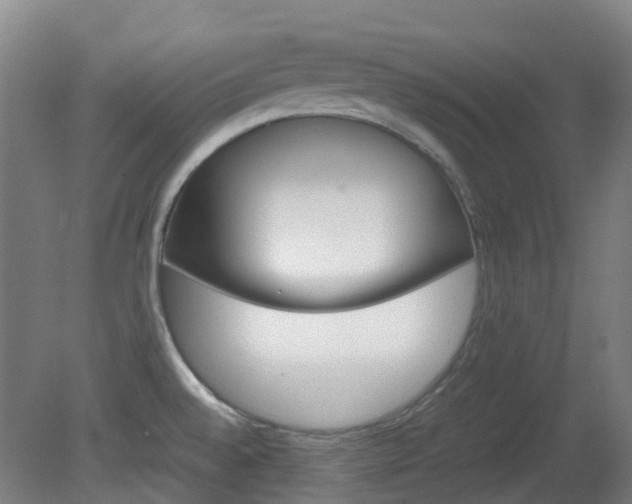 X0000082141528200701190945