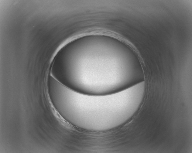 X0000082141530200701190945