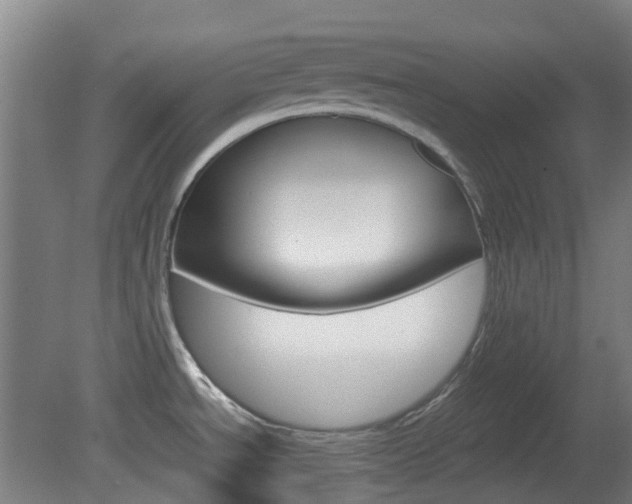 X0000082141534200701190945