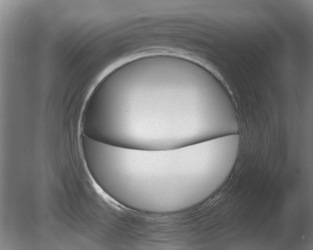 X0000082141535200701190945