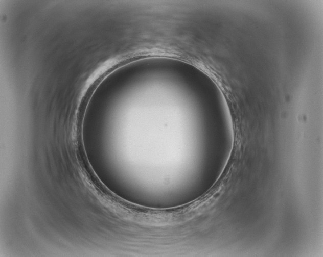 X0000082140008200701191155