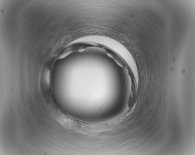 X0000082140041200701191155