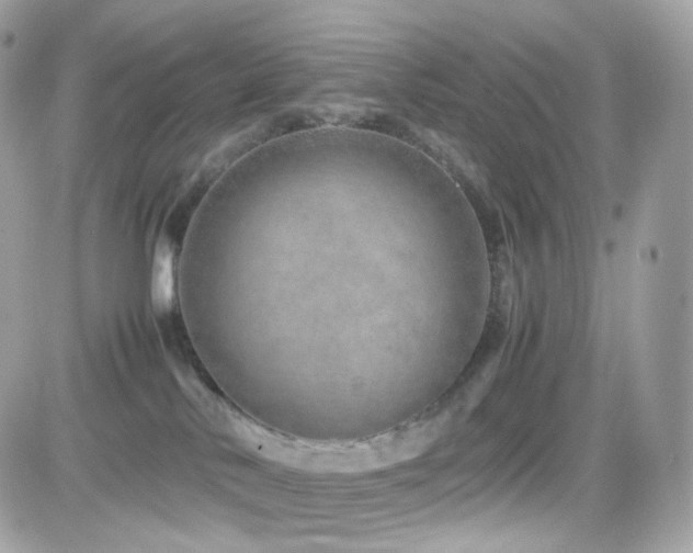 X0000082140042200701191155