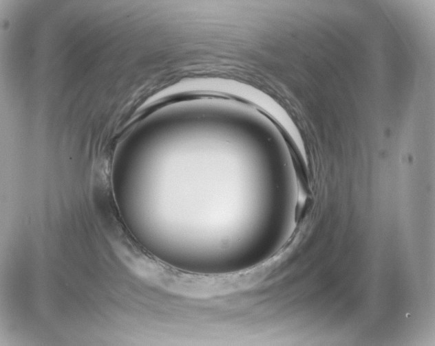 X0000082140045200701191155
