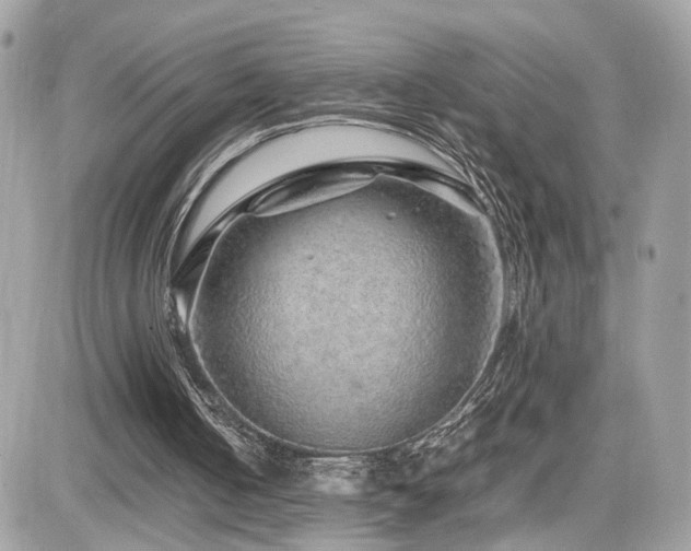 X0000082140050200701191154