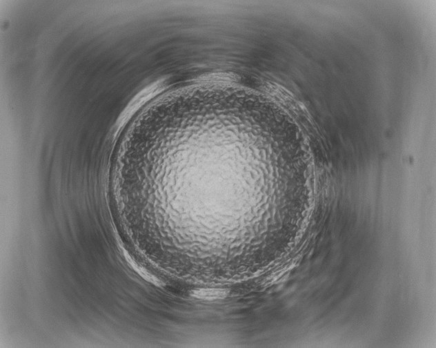 X0000082140051200701191154