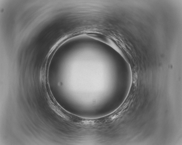 X0000082140052200701191154