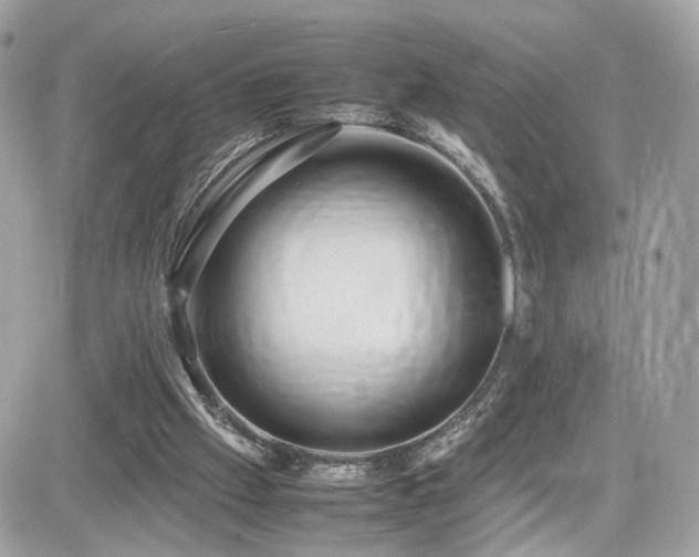 X0000082140057200701191154
