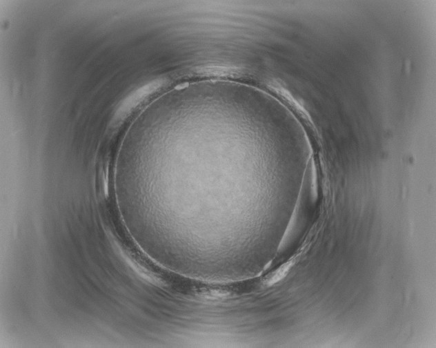 X0000082140062200701191154