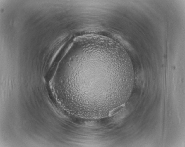 X0000082140070200701191154