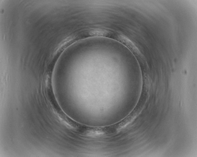X0000082140071200701191154