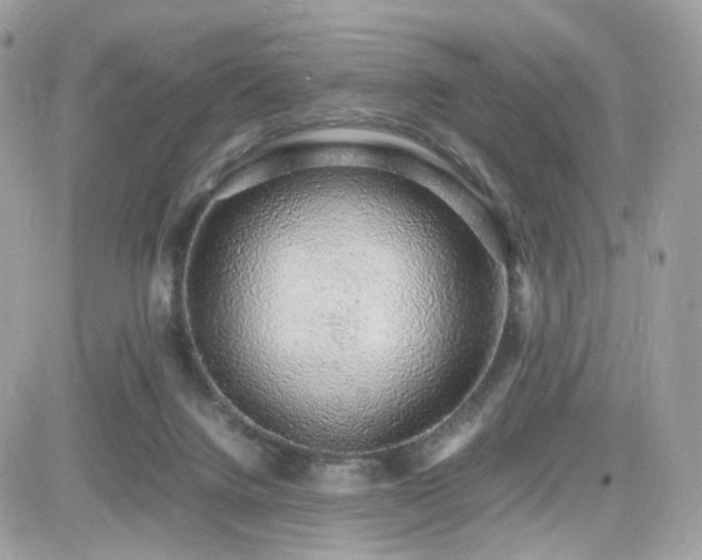 X0000082140072200701191154