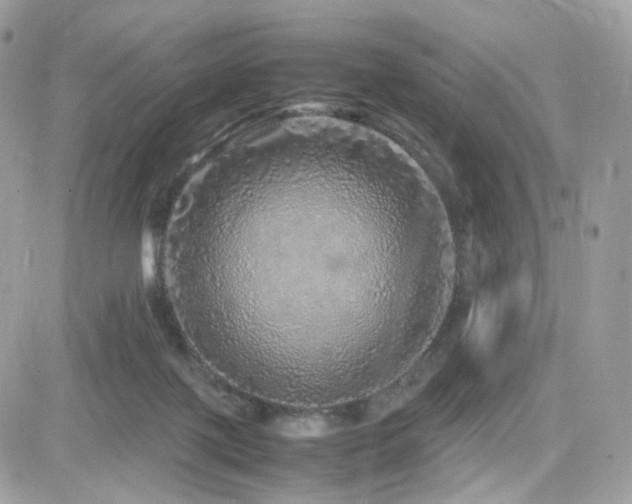 X0000082140075200701191154