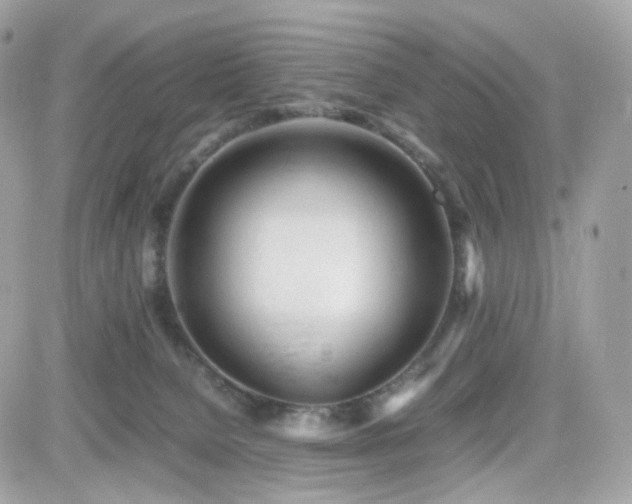 X0000082140080200701191154