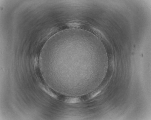 X0000082140081200701191154