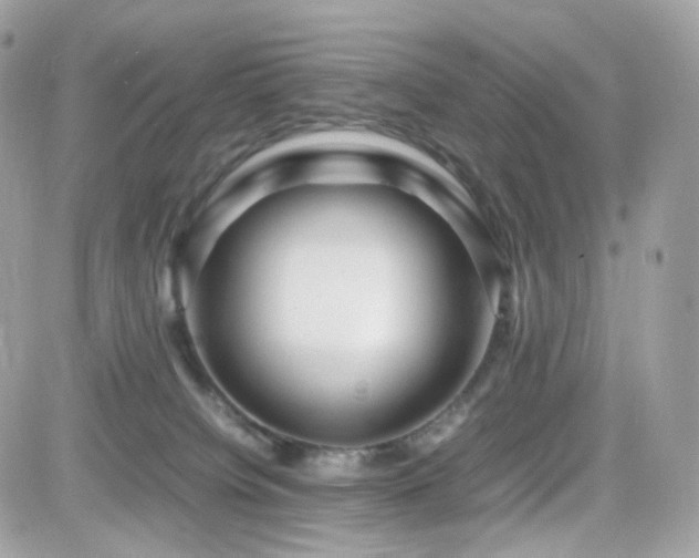 X0000082140084200701191154
