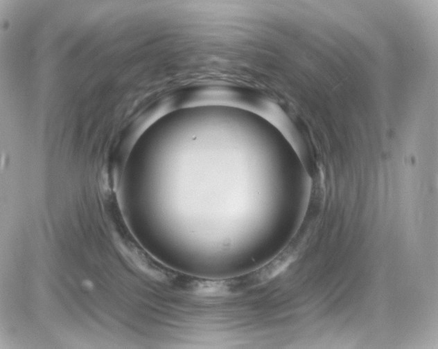 X0000082140088200701191155