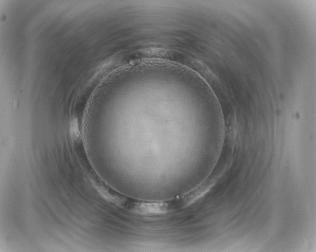 X0000082140089200701191155