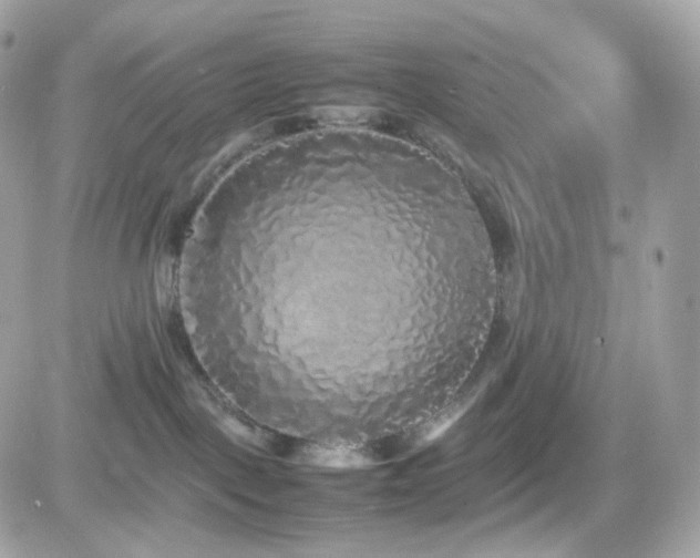 X0000082140093200701191155
