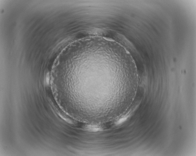 X0000082140095200701191155