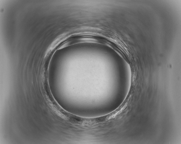 X0000082140101200701191154