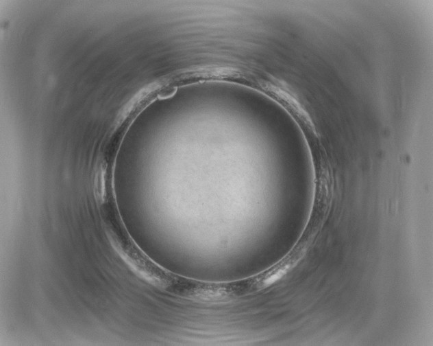 X0000082140110200701191154