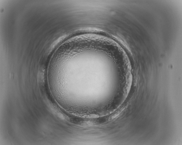 X0000082140111200701191154