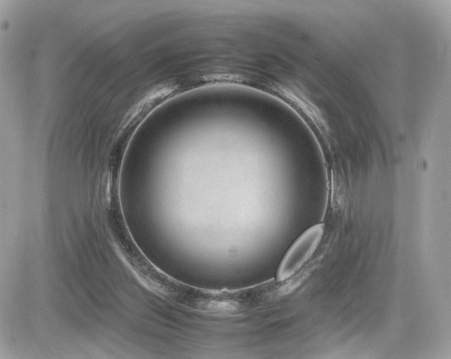 X0000082140157200701191153