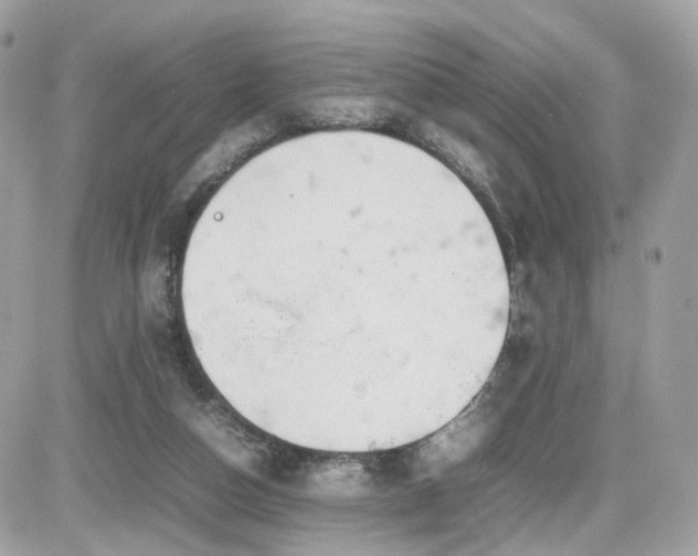 X0000082140162200701191153