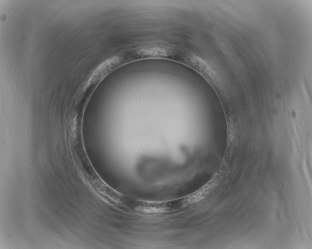 X0000082140163200701191153