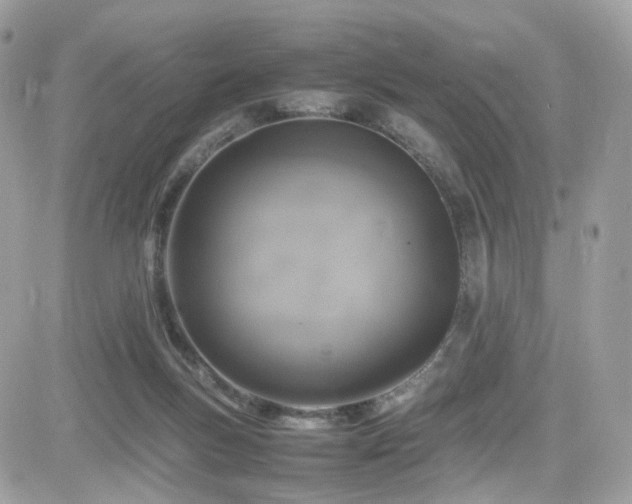X0000082140167200701191153