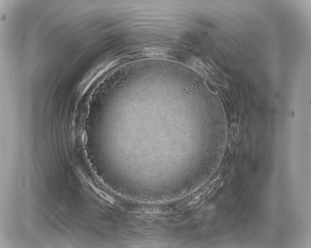 X0000082140194200701191152