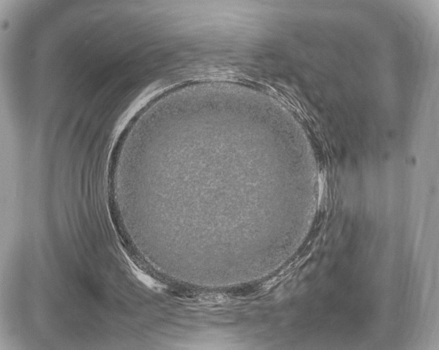 X0000082140195200701191152