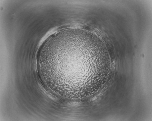 X0000082140198200701191152