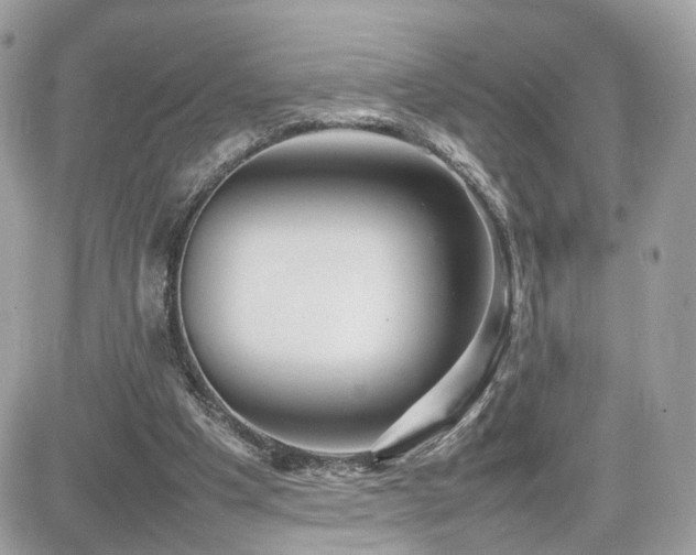 X0000082140201200701191152