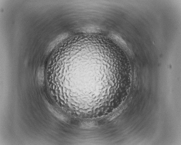 X0000082140202200701191152
